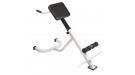 Гиперэкстензия Royal Fitness RACK-1518 